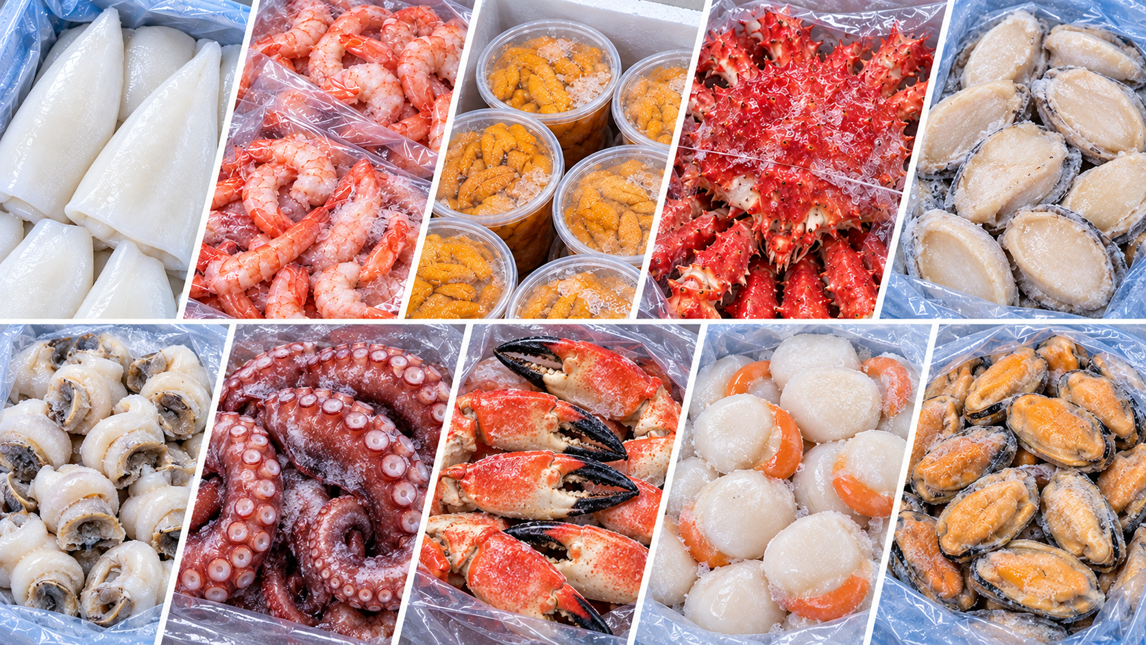 Productos del mar congelados